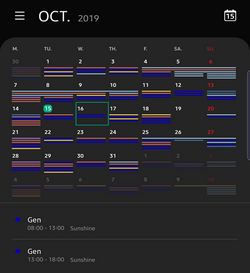 screenshot of schedule in calendar